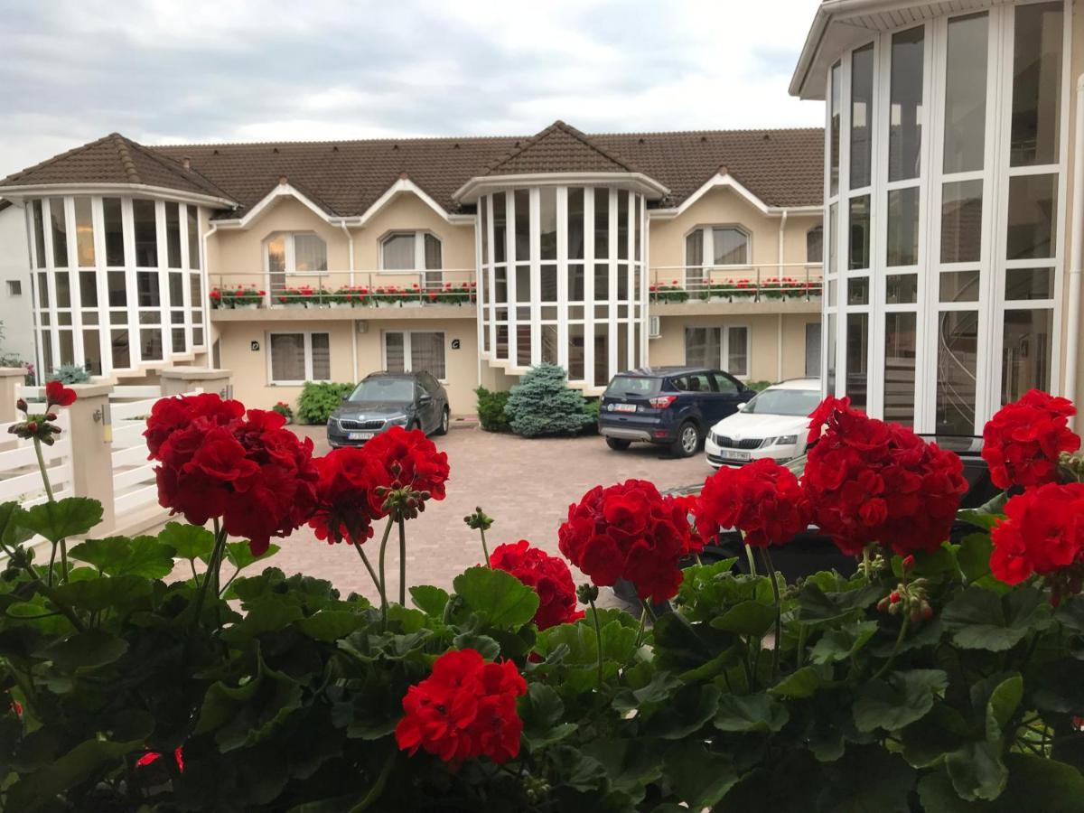 Villa Brussels Дева Экстерьер фото